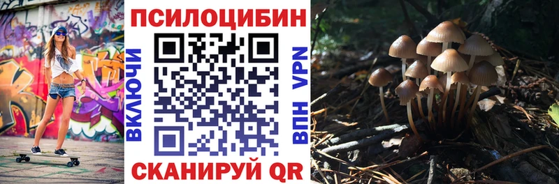 Псилоцибиновые грибы MAGIC MUSHROOMS Рязань