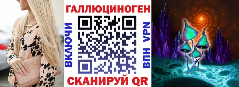 где продают   Рязань  Галлюциногенные грибы Psilocybe 